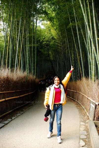bamboo grove arashiyama