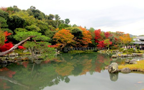 Tenryu-ji Garden